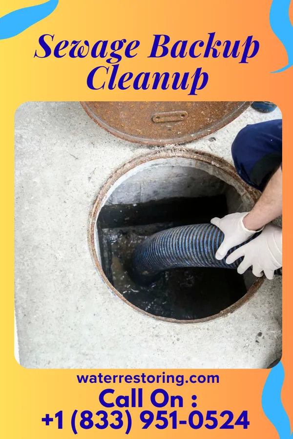Sewage Backup Cleanup in Amherst Junction, WI