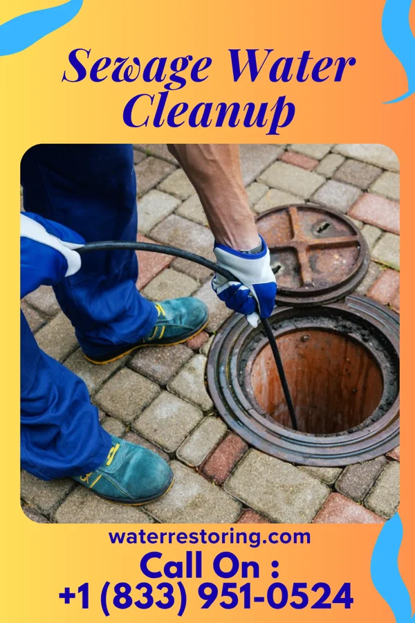 Sewage Water Cleanup in Amherst Junction, WI